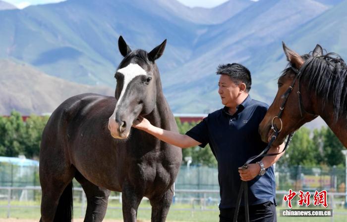从草原到赛场：近40年传承与创新让西藏民族传统