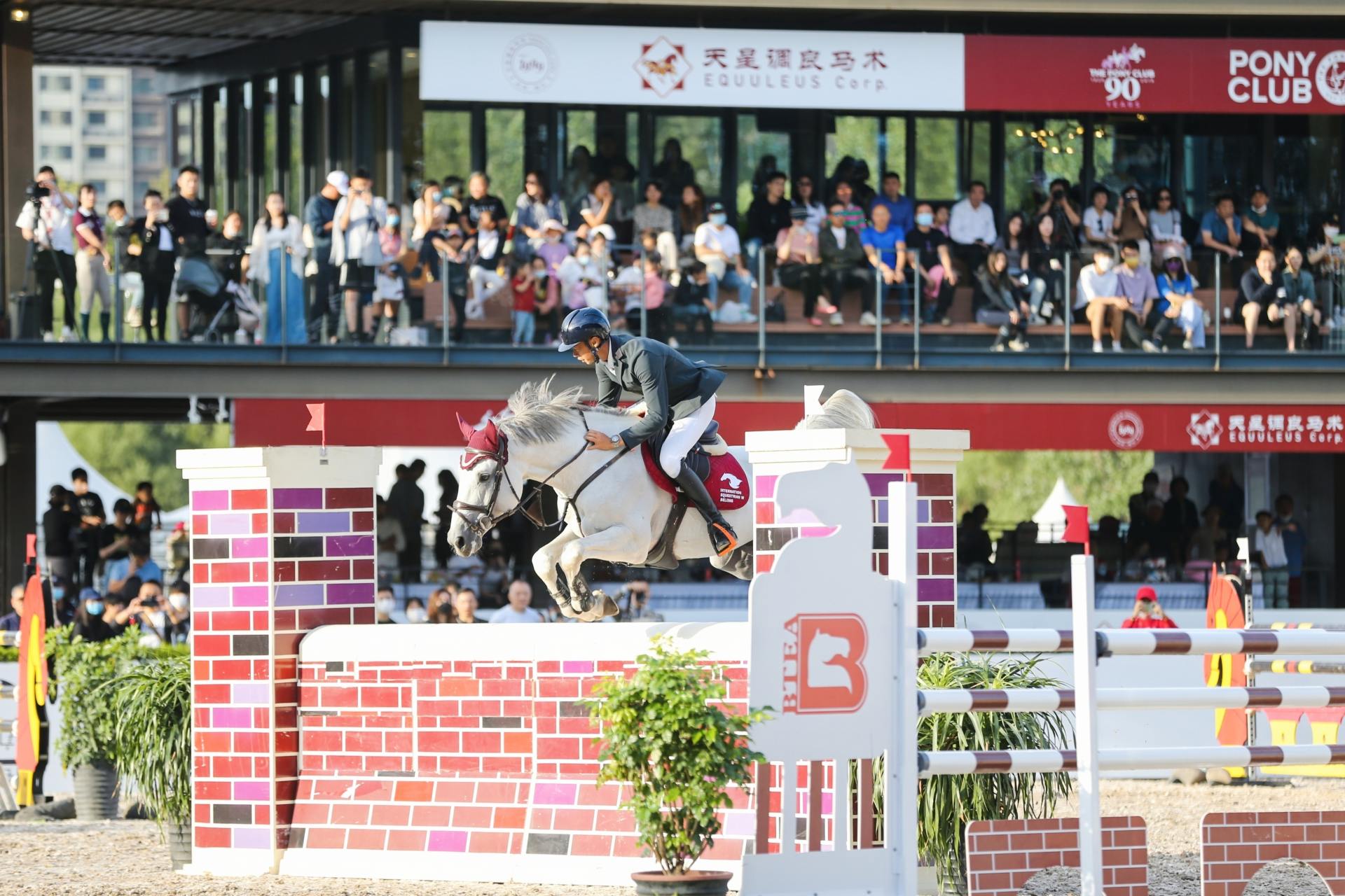 2022国际马术文化周首推盛装舞步项目