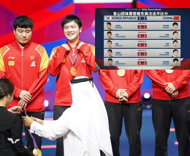 国际乒联宣传片遮挡樊振东引球迷抗议